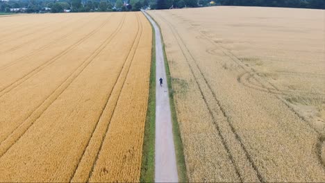 Aerial-Drone-Shot-of-a-Person-Riding-a-Bike-in-a-Grain-Field-at-Sunset-near-the-Woods-in-Germany-at-Wheat-Smooth