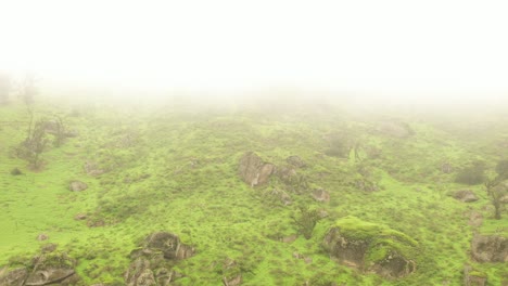 Este-Es-Un-Impresionante-Metraje-Aéreo-De-Las-Lomas-De-Lachay-En-Per?