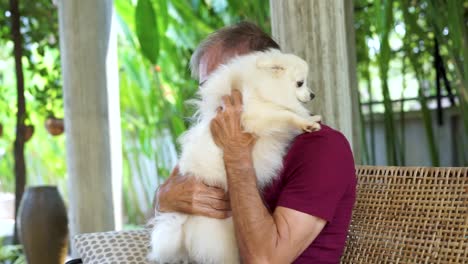 White-puppy-being-cuddle-by-man-at-home