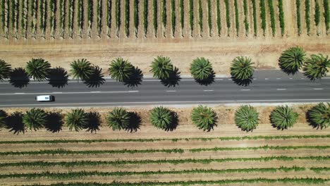 Una-Vista-Aérea-De-Una-Autocaravana-Conduciendo-Por-Una-Carretera-Recta-Rodeada-De-Viñedos