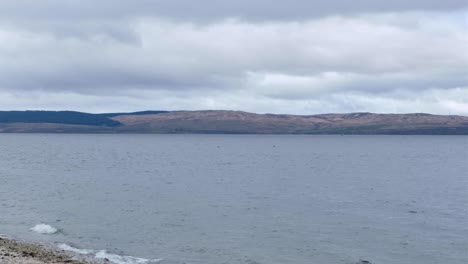 Watching-a-pod-of-dolphins-close-in-and-swimming-along-the-shore-on-the-Isle-of-Arran-in-Western-Scotland-UK