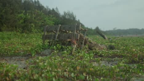 Old-wooden-cart-abandoned-in-lush-green-overgrowth-under-cloudy-skies,-wide-angle-shot