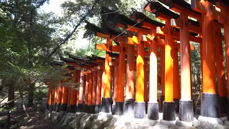 Vermilion-torii-gates-of-Fushimi-Inari-Shrine,-Kyoto,-Japan,-torri