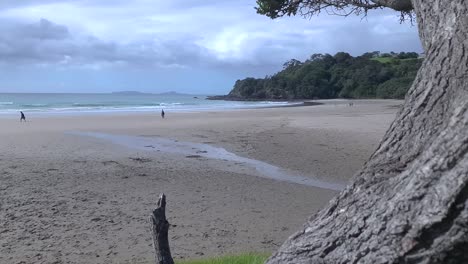 Cámara-Lenta-De-La-Playa-Local-En-Un-Día-Gris-En-La-Isla-Norte-De-Nueva-Zelanda