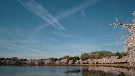 Visitors-walk-along-the-tidal-basin-to-see-Washington,-D