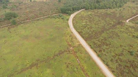 A-lonely-cyclist-riding-along-a-forest-road,-toward-the-top-right-of-frame