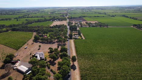 Eine-Drohnenansicht-Von-Autos,-Die-Auf-Einer-Langen-Geraden-Straße-Durch-Das-McLaren-Vale-In-Südaustralien-Fahren