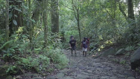 Grupo-De-Personas-Caminando-En-El-Bosque