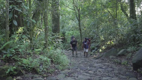 Bunch-of-people-walking-in-forest