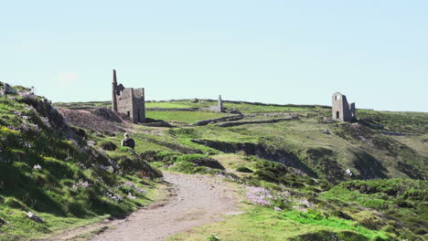 Tourist-walking-toward-the-Poldark-famous-tin-and-copper-mine-location-known-as-wheal-leisure