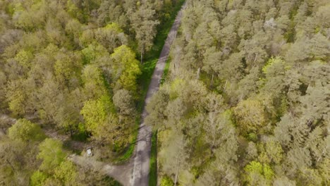 Drone-Sobre-Una-Carretera-A-Través-De-Un-Bosque