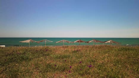 Beach-umbrellas-peek-out-from-behind-a-grassy-hill-against-a-background-of-blue-sky-and-sea