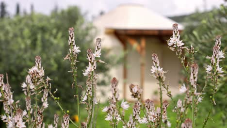 Una-Foto-De-Flores-Frente-A-Una-Yurta-De-Alojamiento-Y-Desayuno