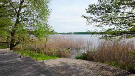 Hohes-Schilf-Wächst-Am-Rande-Des-Ukiel-Sees-In-Olsztyn,-Mit-Blick-Durch-Die-Vegetation-Auf-Das-Wasser-Und-Die-Bäume-In-Der-Ferne