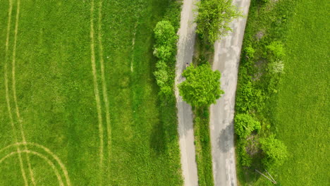 Aerial-view-of-a-rural-road-with-two-bikers-riding-along-it,-surrounded-by-green-fields-and-a-large-tree