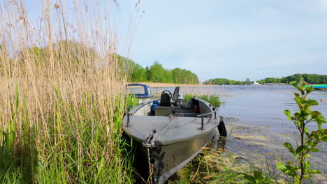 A-small-boat-moored-among-tall-reeds-at-the-edge-of-Ukiel-Lake-in-Olsztyn,-with-a-calm-water-surface-and-trees-in-the-background