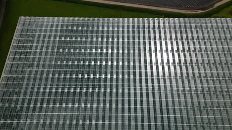 Sun-reflecting-of-massive-green-house-complex,-aerial-drone-view