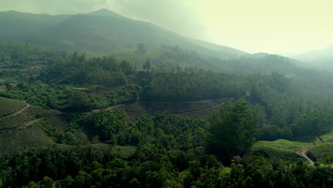 Panorámica-Hermosa-Plantación-De-Té-Brumoso-Plantaciones-De-Té-De-Clase-Mundial-En-Las-Colinas-De-Munnar,-Kerala,-India