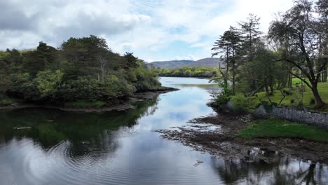 West-Cork-Beara-Halbinsel-Ein-Kleiner-Bach-Mit-Springenden-Fischen-Und-Baumhainen,-Die-An-Einem-Warmen-Sommermorgen-Zum-Meeresufer-Führen,-Langsame-Drohnenbewegung