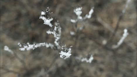 Frozen,-frost-covered-grass-on-cold-winter-morning-in-cinematic-slow-motion