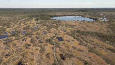 Aerial:-Narrow-boardwalk-leads-through-northern-moor-bog-to-small-lake