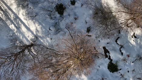The-bird's-eye-perspective-of-the-natural-winter-landscape-of-Glarus-in-Switzerland,-showcases-its-serene-beauty-from-above