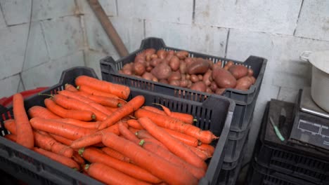 Hand-held-shot-inside-organic-market,-tomato,-carrot-and-potato-in-plastic-bins