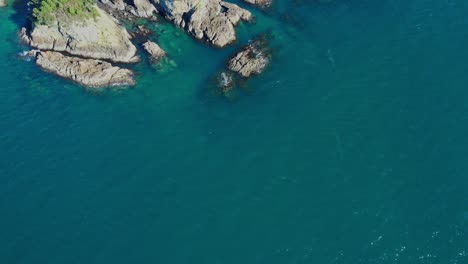 Rocky-Outcrops-With-Vegetation-In-Turquoise-Waters-Of-Oneroa-Bay-On-Waiheke-Island,-Auckland,-NZ
