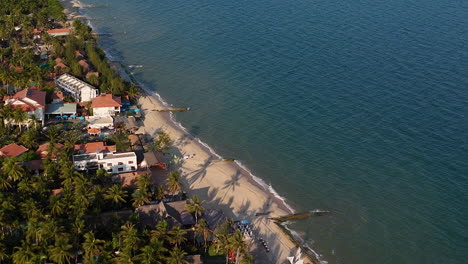 White-Sand-Beach-Coastline-Lined-With-Palm-Trees