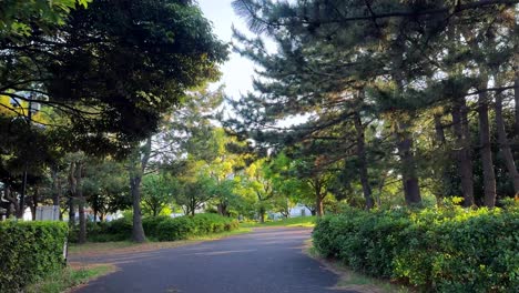 Sunlit-pathway-lined-with-lush-trees-in-a-tranquil-park-setting,-creating-a-peaceful-ambiance