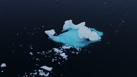 Close-Up-Sea-Ice-Floating-in-Ocean,-Small-Bits-of-Ice-in-Water-in-Antarctica,-Icebergs-in-Antarctic-Peninsula-in-Winter,-Seascape-Detail-with-Dark-Background-in-Icy-Scene