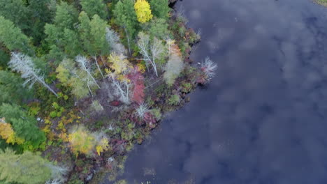 Drone-Giratorio-Disparado-Sobre-Un-Lago-Reflejado-En-El-Cielo-Con-Coloridos-álamos-Que-Bordean-La-Costa