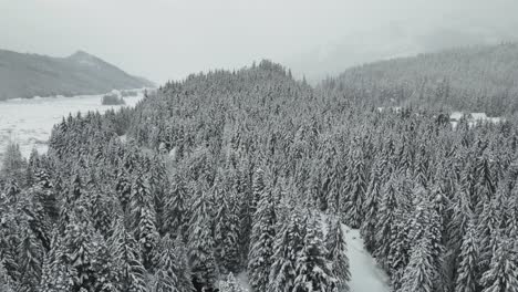 Flight-over-snowy-Idaho-forest-wilderness-in-overcast-winter-weather