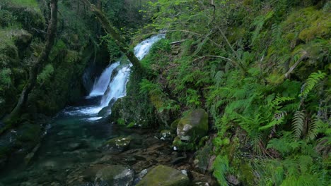 Tropenwaldkaskaden-Fließen-über-Moosbedeckte-Felsen-Am-Santa-Leocadia-Wasserfall-In-Mazaricos,-Galicien,-Spanien