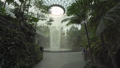 POV-Caminando-A-Través-De-Un-Bosque-Interior-Hacia-La-Cascada-Interior-Más-Alta-Del-Mundo-En-El-Aeropuerto-Jewel-Changi-En-Singapur