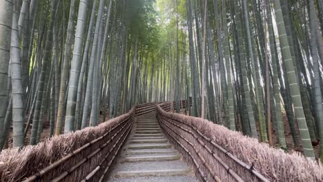 Bambuszauntreppe-Entlang-Des-Bamboo-Grove-Trail-In-Adashino-Nenbutsu-ji-In-Kyoto,-Japan