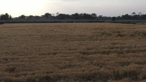 Weiter-Vorne-Sind-Große-Weizenfelder-Sichtbar