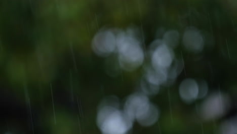 Fuertes-Lluvias-Y-árboles-Verdes-Borrosos-En-Verano