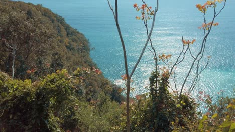Cinque-Terre-Corniglia-to-Vernazza-Coastal-View-with-Trees,-Waves,-and-Azure-Sky