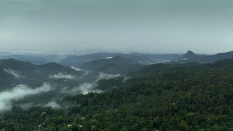 Ferne-Luftaufnahme-Eines-Dichten-Regenwaldes,-Der-Berge-Und-Neblige-Wolken-Luftaufnahmen-Von-Munnar,-Kerala,-Indien