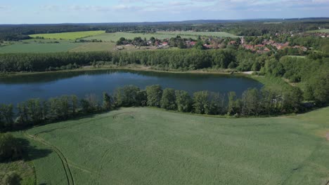 Aerial-view-of-a-green-field-and-lake-during-a-sunny-summer-day