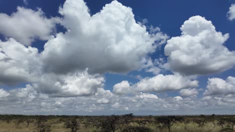 moving-camera-side-way-in-a-national-park-blue-sky-with-with-clouds-and-trees-and-savanna