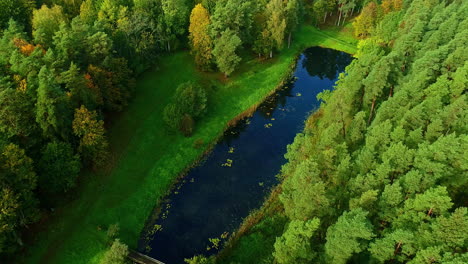 Lush-green-woodland-by-lake-in-Latvian-nature