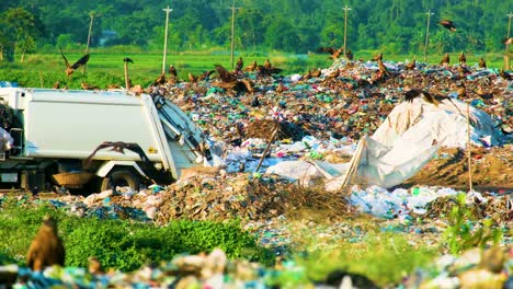 Municipality-Garbage-Truck-Disposing-Garbages-On-Landfill-With-Flock-Of-Black-Kite-Eagles