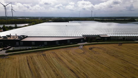 Massive-tomato-plantation-inside-greenhouses,-aerial-drone-view