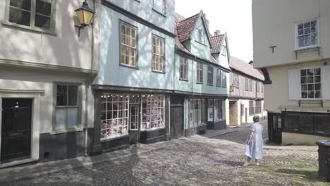 Historic-cobblestone-Elm-street-charming-Tudor-character-buildings-neighbourhood