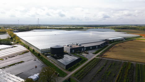 Massive-greenhouses-in-vast-landscape-of-Belgium,-aerial-drone-view
