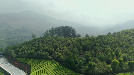 Panorama-Der-Wunderschönen-Nebligen-Teeplantage,-Erstklassige-Teeplantagen-In-Den-Hügeln-Von-Munnar,-Kerala,-Indien