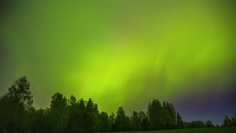 Green-vivid-Northern-lights-timelapse-above-forest