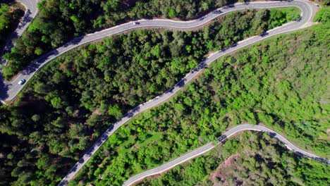 An-aerial-view-of-simetric-green-road-with-cars-circulating